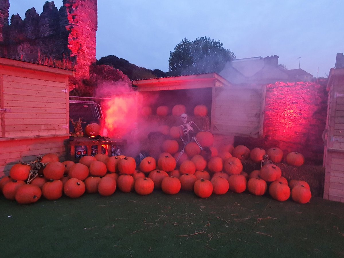 Events in Fingal (@eventsinfingal) on Twitter photo Our Chief Executive <a href="/AnnMarieFingal/">AnnMarie Farrelly</a> popped in to see the Swords Castle Pumpkin Patch 🎃 today, our events manager <a href="/Towerboy55/">BARNESY...........</a> took the opportunity to discuss a pay rise 😀 the pumpkin patch is free to attend and open 12-3pm Saturday and Sunday <a href="/Fingalcoco/">Fingal County Council</a> @emerogorman #HALLOWEEN Our Chief Executive <a href="/AnnMarieFingal/">AnnMarie Farrelly</a> popped in to see the Swords Castle Pumpkin Patch 🎃 today, our events manager <a href="/Towerboy55/">BARNESY...........</a> took the opportunity to discuss a pay rise 😀 the pumpkin patch is free to attend and open 12-3pm Saturday and Sunday <a href="/Fingalcoco/">Fingal County Council</a> @emerogorman #HALLOWEEN
