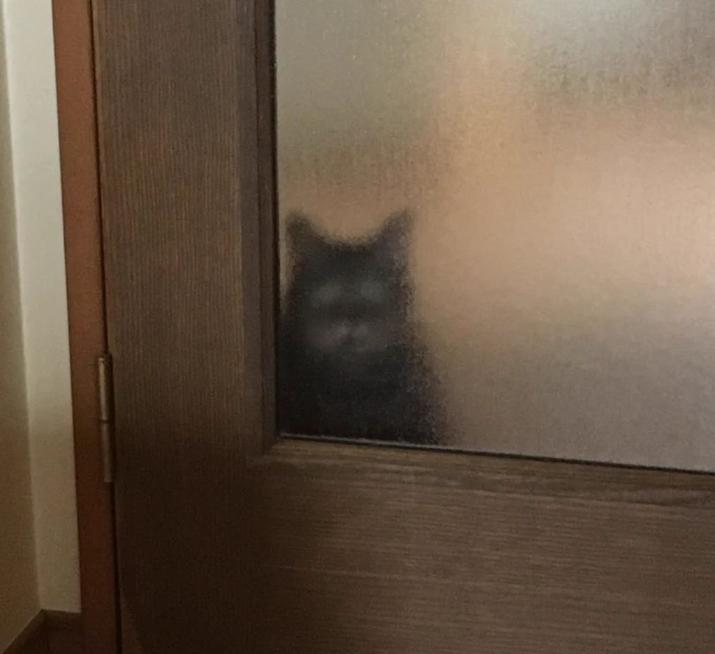 @kyuryuZ こゆことですね 