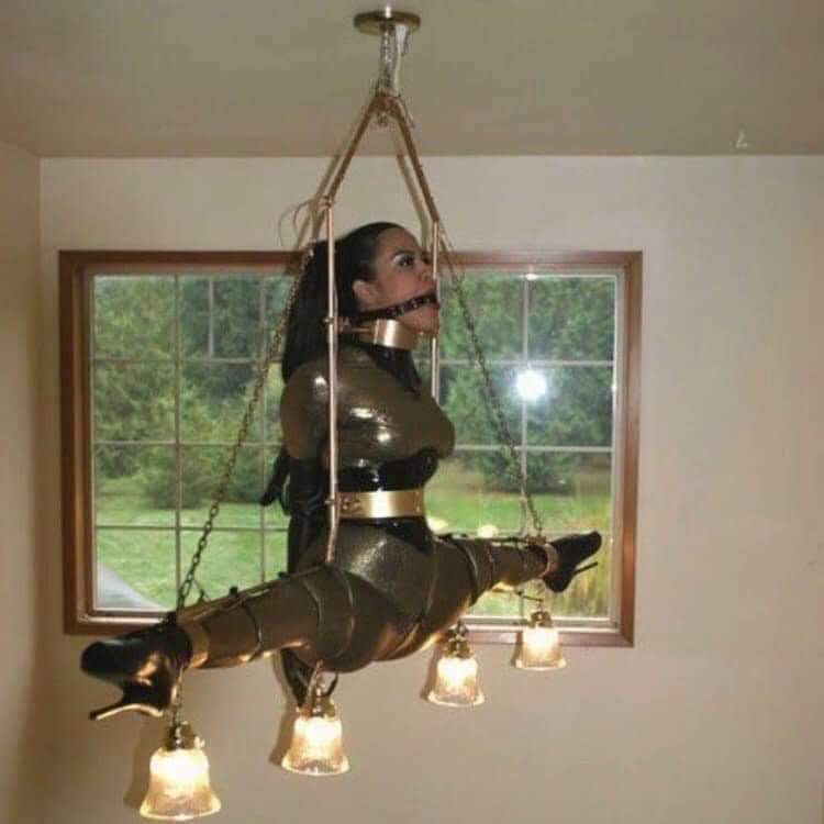 YudithMalik's tweet photo. Yo fingiendo ser un candelabro en la casa de Gigi Hadid para saber lo que realmente pasó
#WeAreWithZayn #FreeZayn https://t.co/SGqu1iKfkO