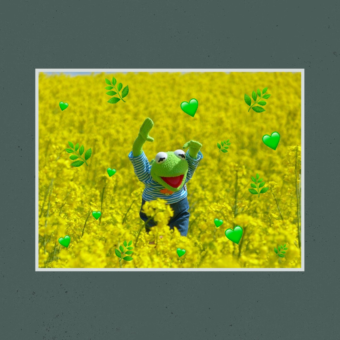 Me after taking my CBD.

#SavageCabbage #FullSpectrum #WholePlant #HempHeals