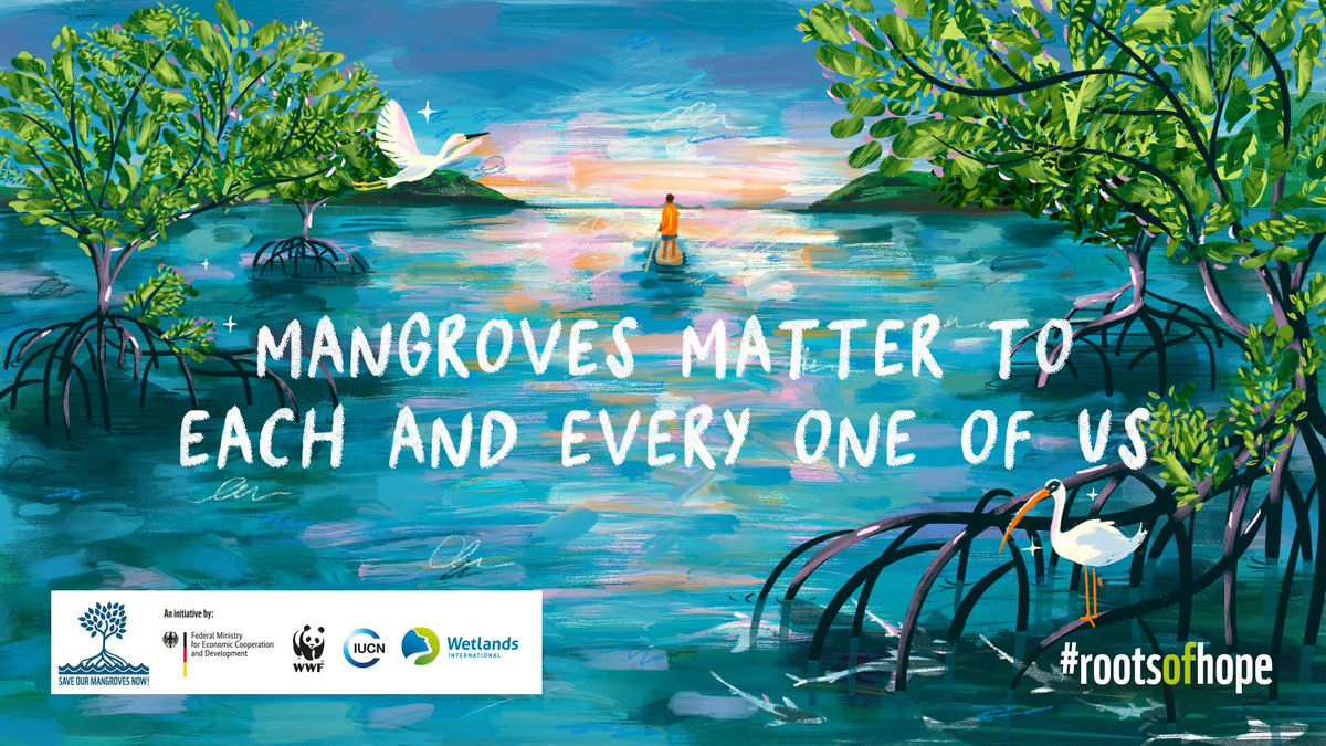 MangrovesNow's tweet photo. We are united to reverse the decline of mangrove habitats in the Western Indian Ocean and across the globe, in an effort to: 

🌿 Restore #biodiversity
👩‍🌾 Protect livelihoods
💧 Mitigate against the impacts of the #climatecrisis

Learn more: https://t.co/Oo0fZ8xKLb
#COP26Glasgow https://t.co/mdKL5q0CuB
