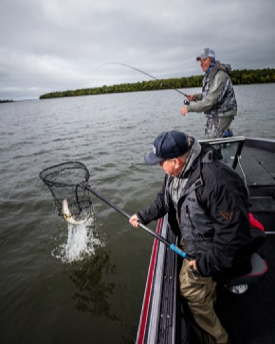 OkumaFishingUSA's tweet image. The weather is starting to cool and fish getting active.  Who is ready for some weekend fishing?

#InspiredFishing
#Okuma