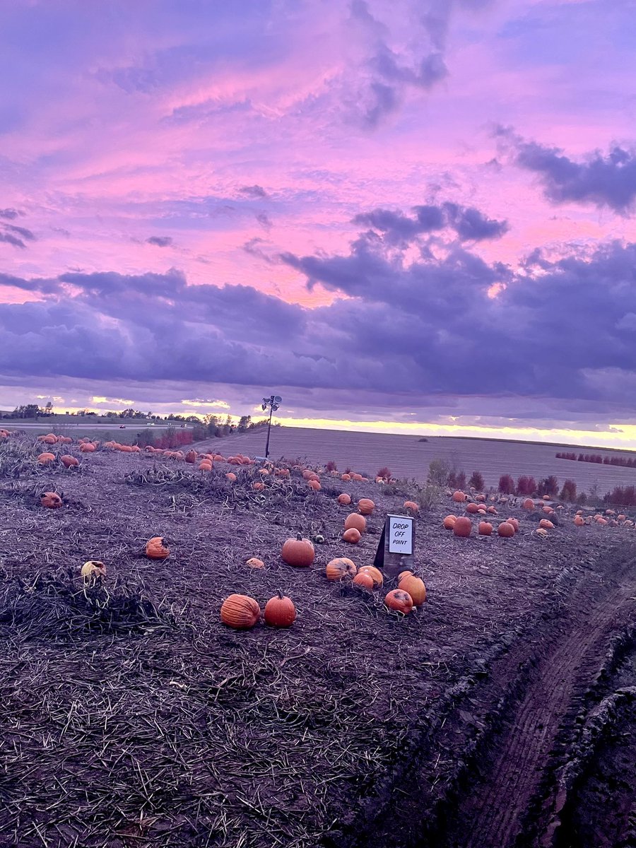 #Fall in #Nebraska leads to some pretty decent #sunsets. Example: Last night at <a href="/ValasPumkinPtch/">Vala's Pumpkin Patch</a> during a well-timed hayrack ride.