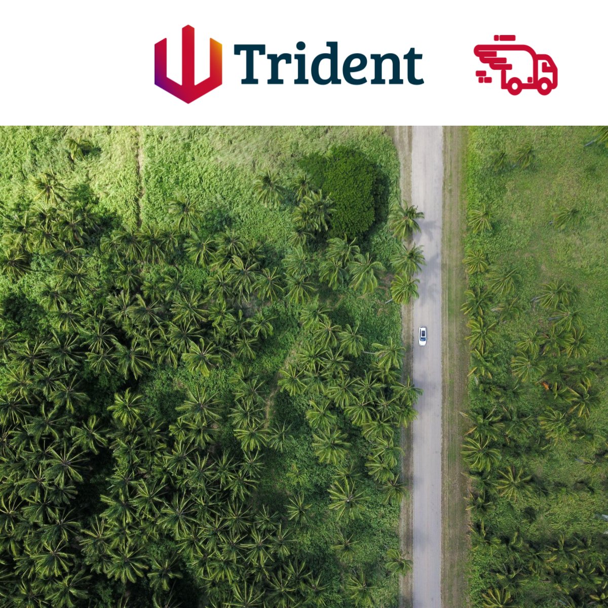 TridentWW's tweet photo. The Road Haulage Association estimates that a shortage of 100,000 lorry drivers has contributed to the worst supply chain crisis in decades. 
Find out more in this weeks article by Trident Worldwide. 
 --https://t.co/Y46sdXIs7E
#lorrydrivers #hgvdrivers #supplychaincrisis https://t.co/3emNRKwniI