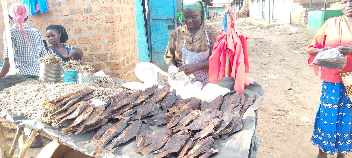 MaryAemo1's tweet photo. Today I had engaging discussions with Fish Cluster WCBTs in Malaba Kenya how to trade collectively and gainfully @MakingTradeWork
#SaveWomenTraders https://t.co/lS9EapLDxb
