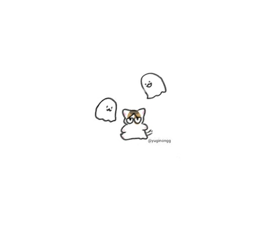 유기농 tweet media