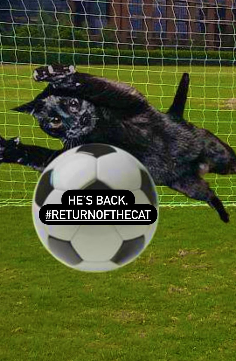 palm_bayfc's tweet photo. We are delighted to announce the re signing of keeper Chris. #returnofcat #catsback #thecat #SundayLeagueFootball #nonleague https://t.co/VgkgghotW9