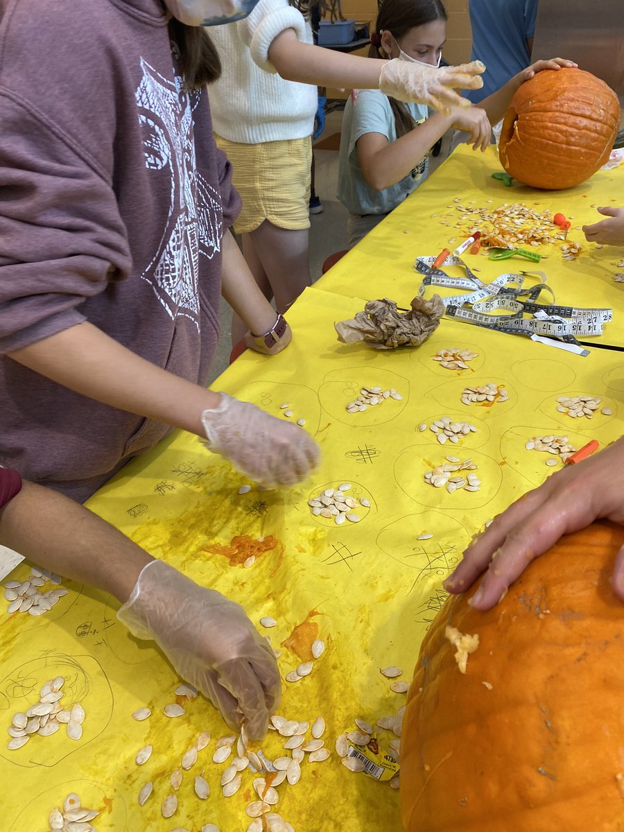 klm1226's tweet photo. Pumpkin math 2021 @SalemBosh @TimothyBelton7 @supernovassocst https://t.co/qZEjDvGyup