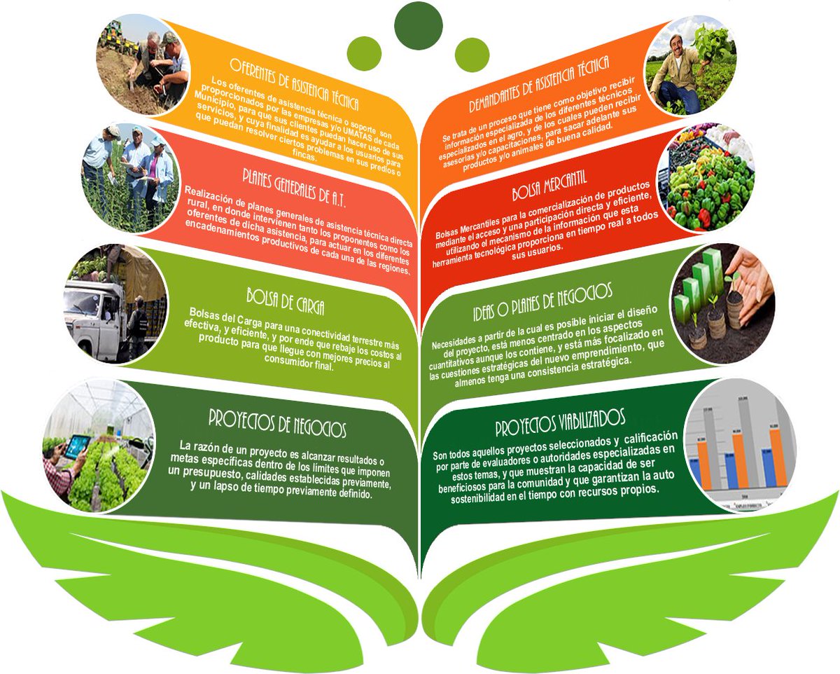 INNOVATECSAS's tweet photo. @SJSANTAB @msagrisenacda  La importancia del tema Alianzas Productivas,  promovido por algunas Secretarias de Agricultura de Departamentos, y poder mostrar la aplicabilidad de la Plataforma de CIGA (Centros Integrales de Gestion Agroempresariales). 

https://t.co/pJ3RBihLPL https://t.co/MpWn04HjUE