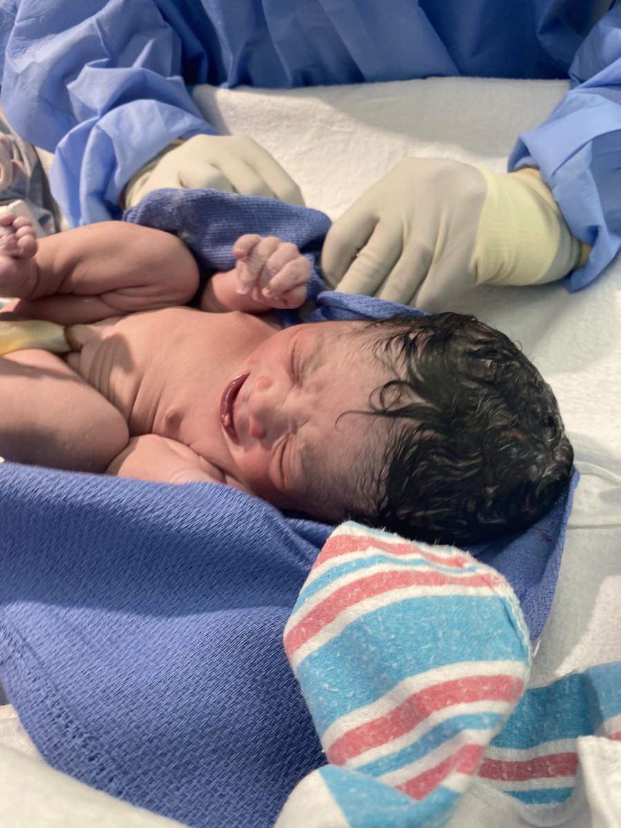 GracieRierson's tweet photo. On October 25, 2021 at 8:52 pm my life changed forever. My Nova Grace was born weighing 5 pounds 11 ounces and 19 inches long. She is the most beautiful baby I’ve ever seen &amp; I’m so in love. Mommy loves you more than anything in the world 😍😭💗 https://t.co/W4Xg6V0R8H