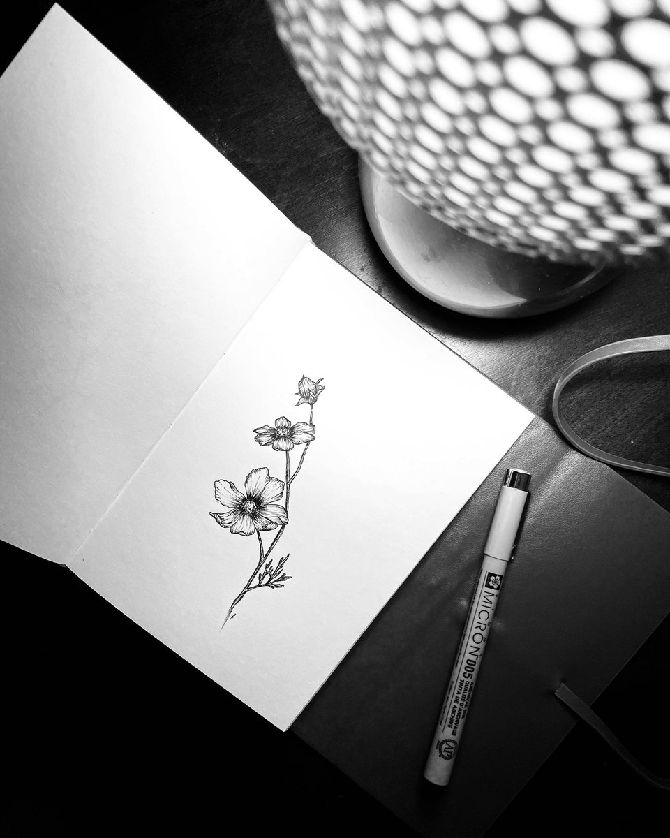 Rory_Clancy's tweet photo. Inktober 2021
Flower Prompt: Cosmos
•
Cosmos haven’t been on my radar before as a favorite, but I really enjoyed how they’re simple while still satisfying my need of details. https://t.co/BnoRgW6eBj