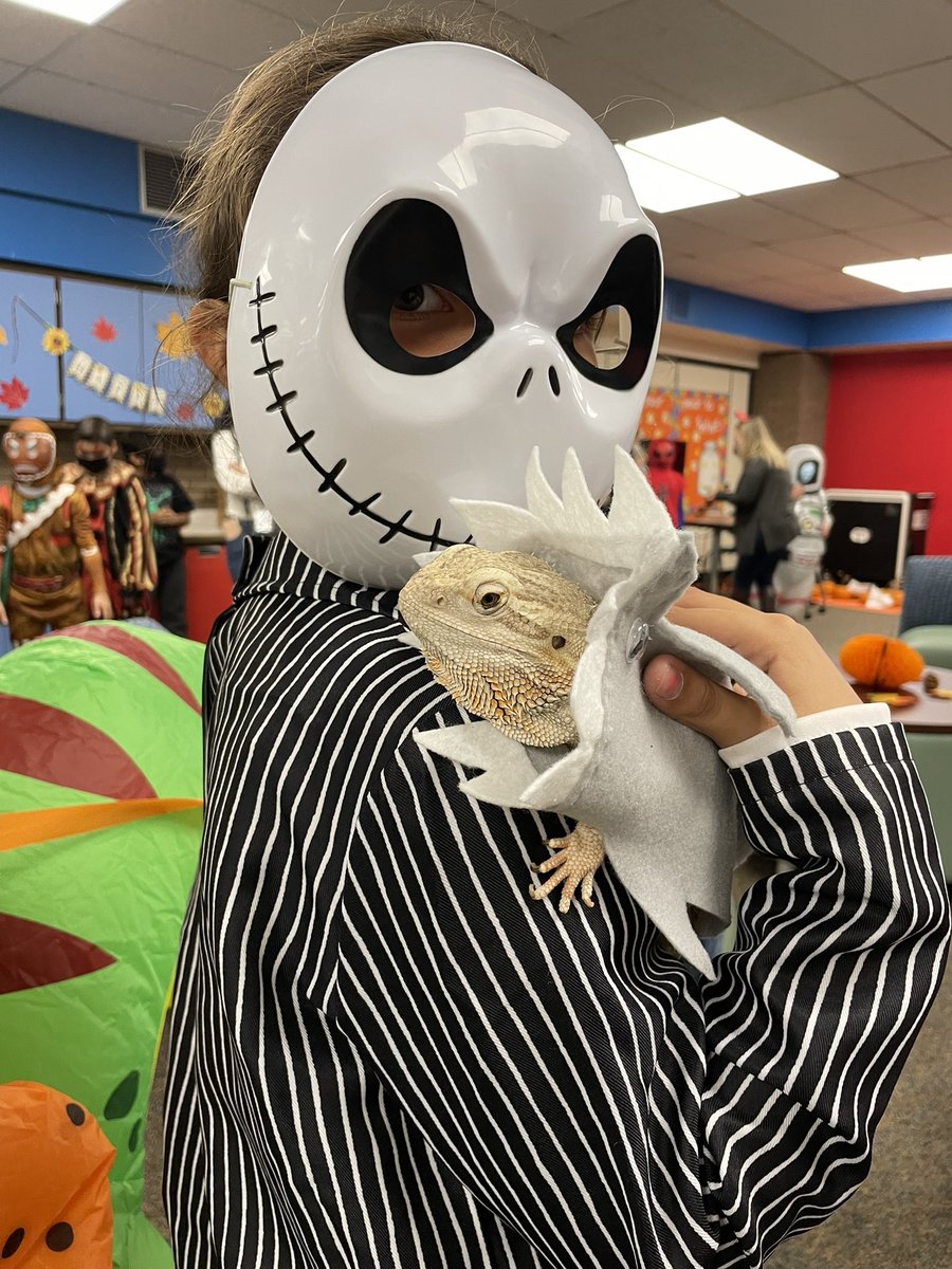 Kristen Lawrence tweet media