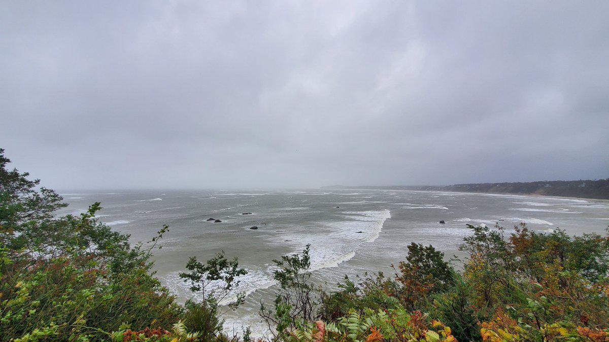 Manomet Banding tweet media