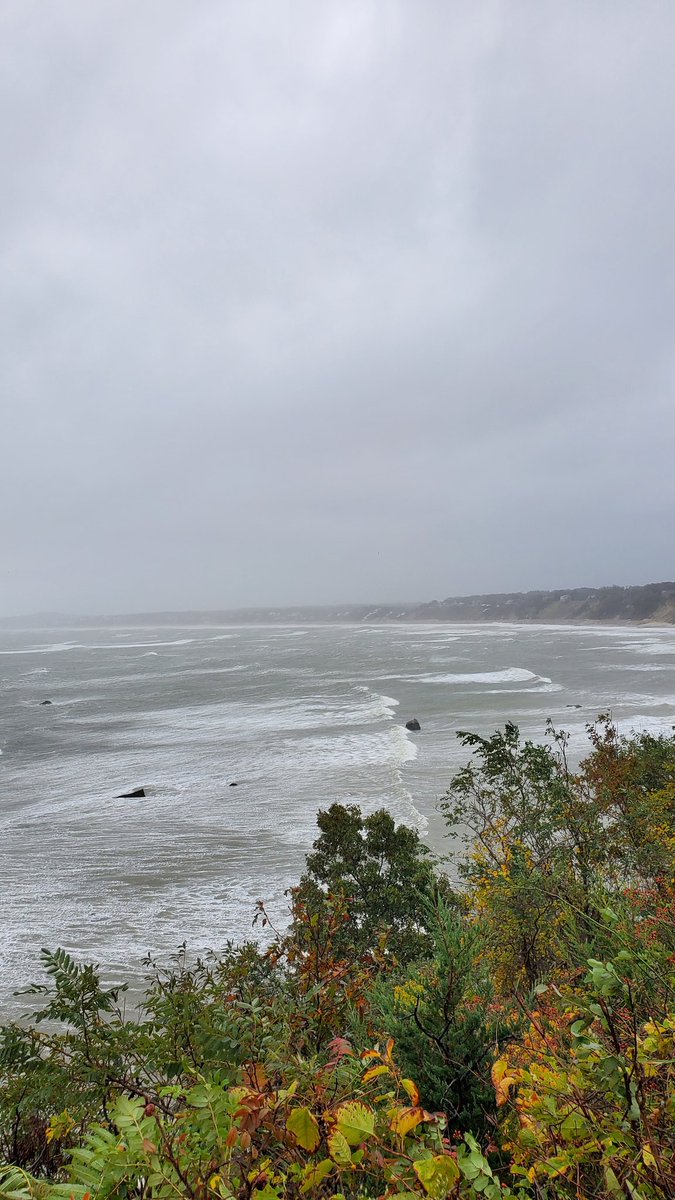 Manomet Banding tweet media