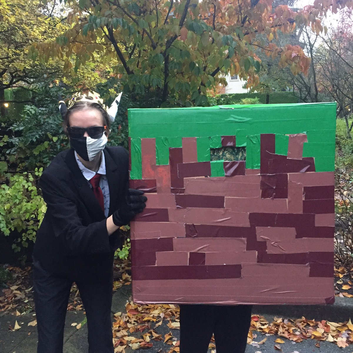 NVinVR1's tweet photo. From dreams to reality. No animals were harmed but lots of fingertip skin was lost. #ranboo #dreamsmp #grassblock #minecraft #barelyfitintheforester https://t.co/8P9yslyMWo