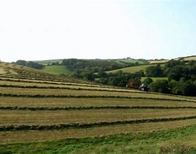 Townsend_TCS's tweet photo. BASIC PAYMENT SCHEME 2021 PAYMENT RATES
The RPA have confirmed the payment rates in England as follows:
RegionNon-SDASDA-OtherMoorland SDA
Value:£233.30£231.60         £64.00
These values are before the 5-25% reduction depending on total claim size. https://t.co/8e1tYVV7dm