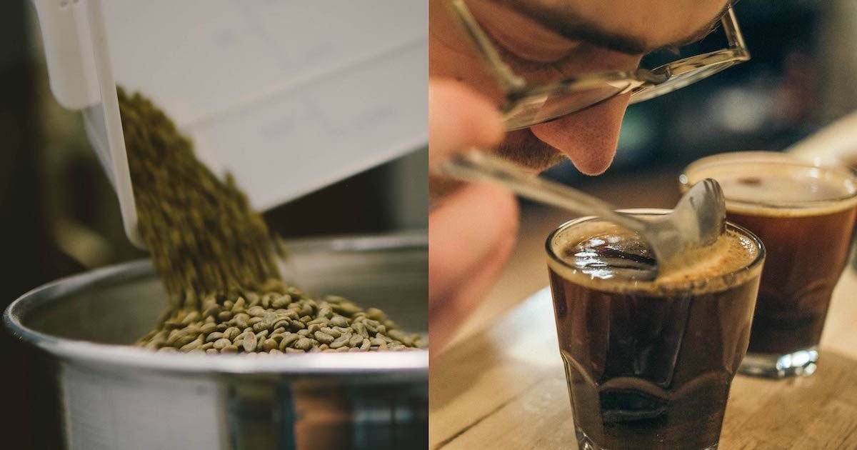 Memli Coffee Lab tweet media