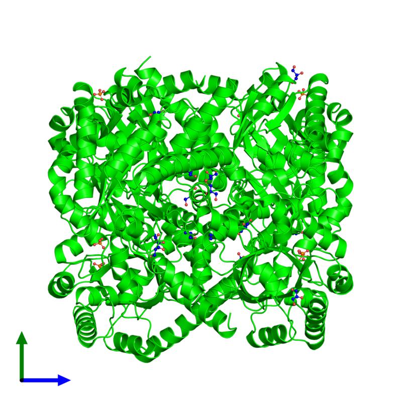 PDBimagebot's tweet photo. #HexamerOfTheWeek 'Apo Class II aldolase HpcH' published in @JMolBiol. Find it at https://t.co/pqDlL6ho9l https://t.co/lbYgBqpHoU