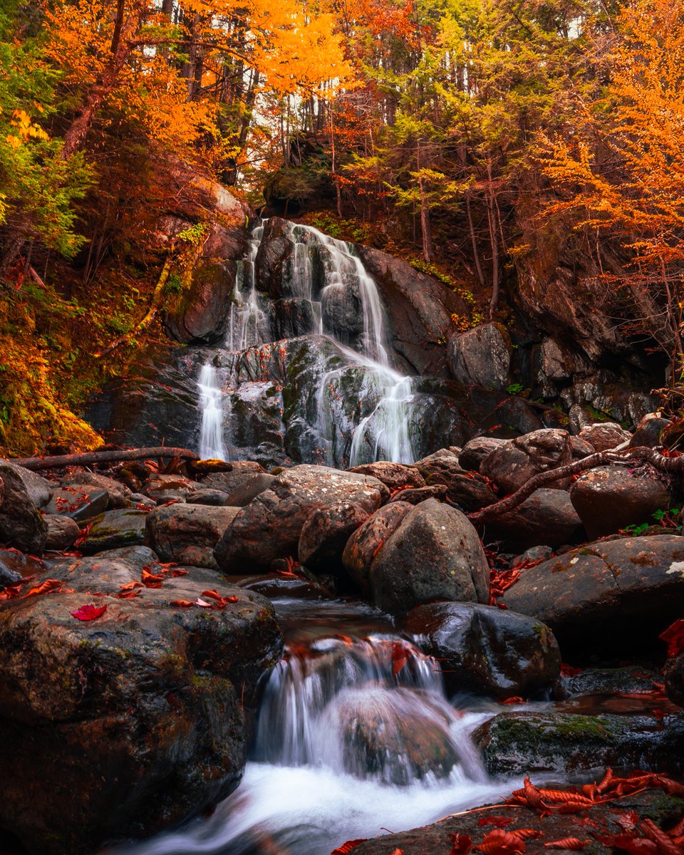 olliefearing's tweet image. good afternoon Twitter!