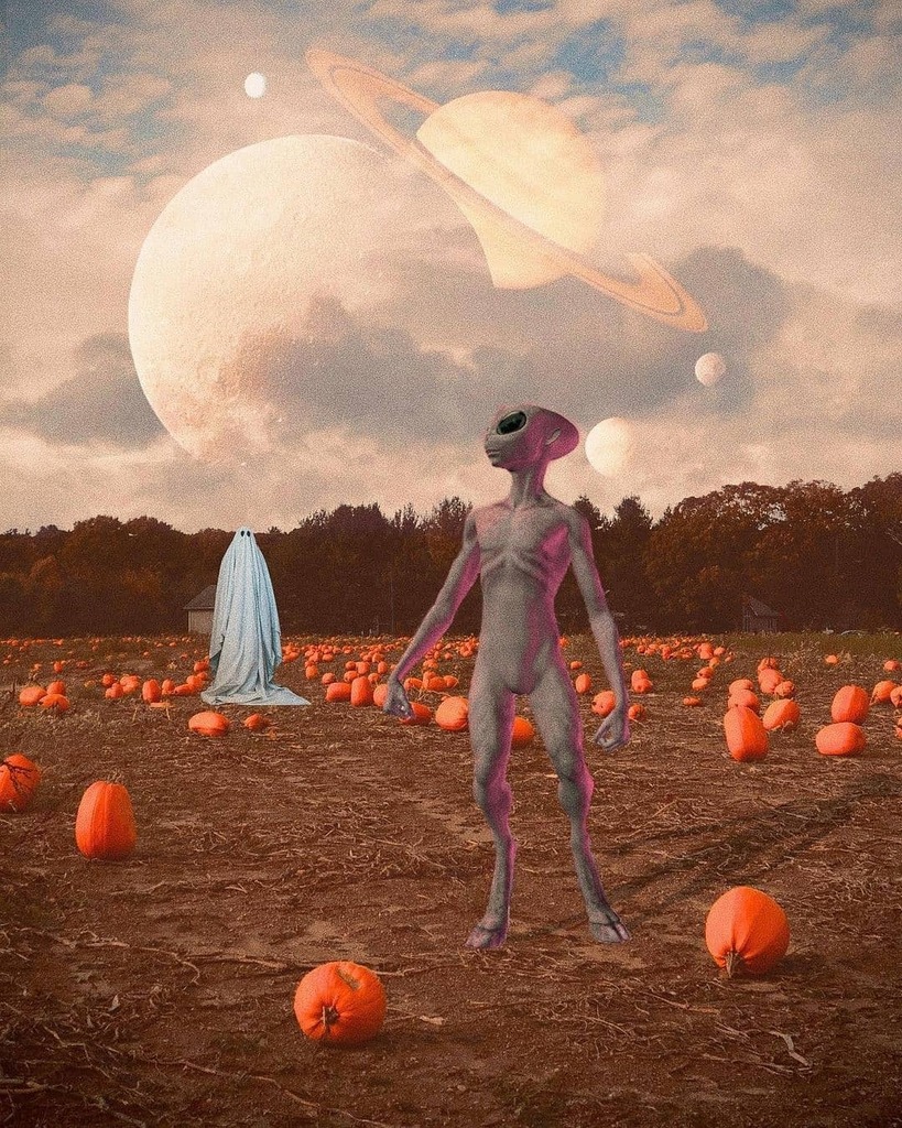 2r_Creative's tweet photo. Have you visited the pumpkin patch yet? It's outta this world. 🎃
📸 @cult.class
#spookyszn #laart #collage_guild #surreal #halloween #surrealism #surrealist #collagecollectiveco #digital_art #digitalartist #collageartworks #digitalcreator #experientialmarketing #2rcreative… https://t.co/BCCATRHynw