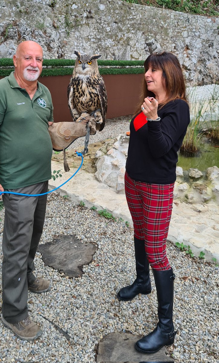 Amber, the Eagle Owl, came out to meet some visiting school children to Tovey Cottage, thank you Vincent... 'smile at the camera Amber' 🙂
#beautifulbird #toveycottage #raptorunit #birdsofprey