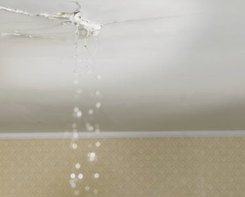 zonaroofingaz's tweet photo. If you notice water spots on your ceiling, it is likely an issue with your roof. Don't wait for the problem to get worse - call Zona Roofing right away! ☎ 602-362-3009
.
.
.
#ZonaRoofing #AZRoofing #ArizonaRoofing #ResidentialRoofing #CommercialRoofing #AZRoofingCompany https://t.co/YPuFNDndWw