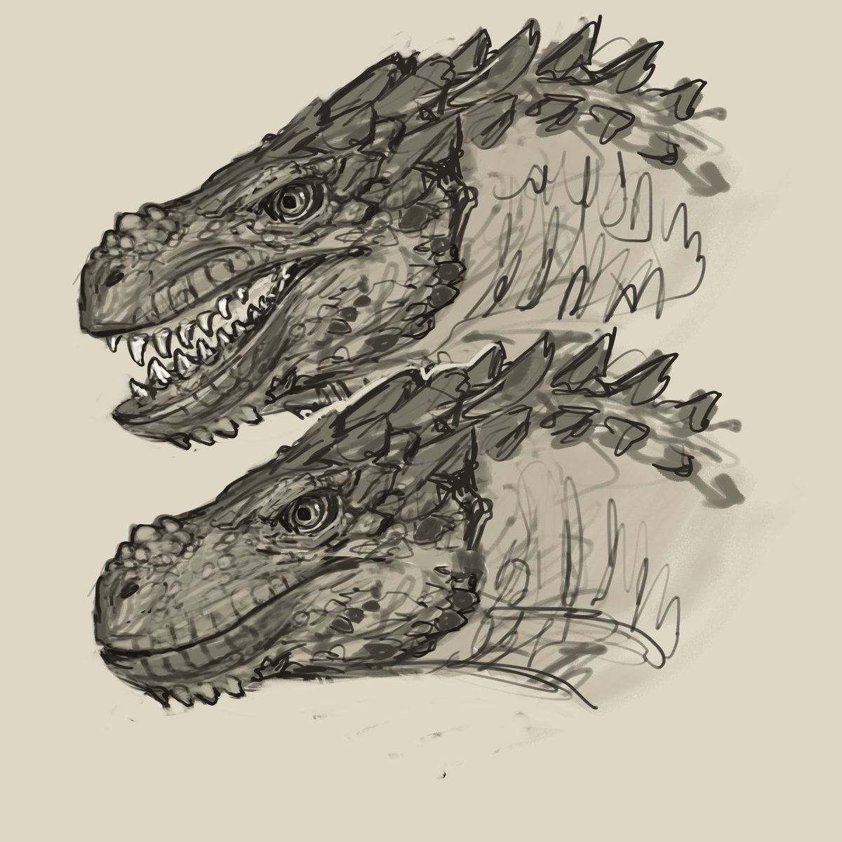 Mortimer M (Morty) tweet media