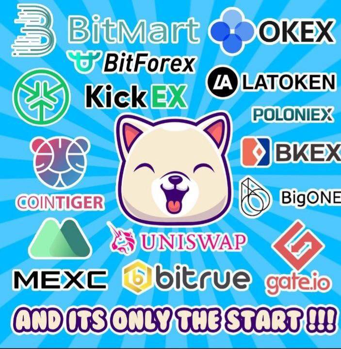 I’m case y’all were wondering where you could buy $KISHU #KISHU at! 

You can currently use @OKEx , @gate_io , <a href="/Hotbit_news/">HotbitDEX 🍀</a> , @MEXC_Global , <a href="/Uniswap/">Uniswap Labs 🦄</a> , and many more!! 

We are hoping to add some big ones in the future! #KISHU $KISHU 🔥🐶