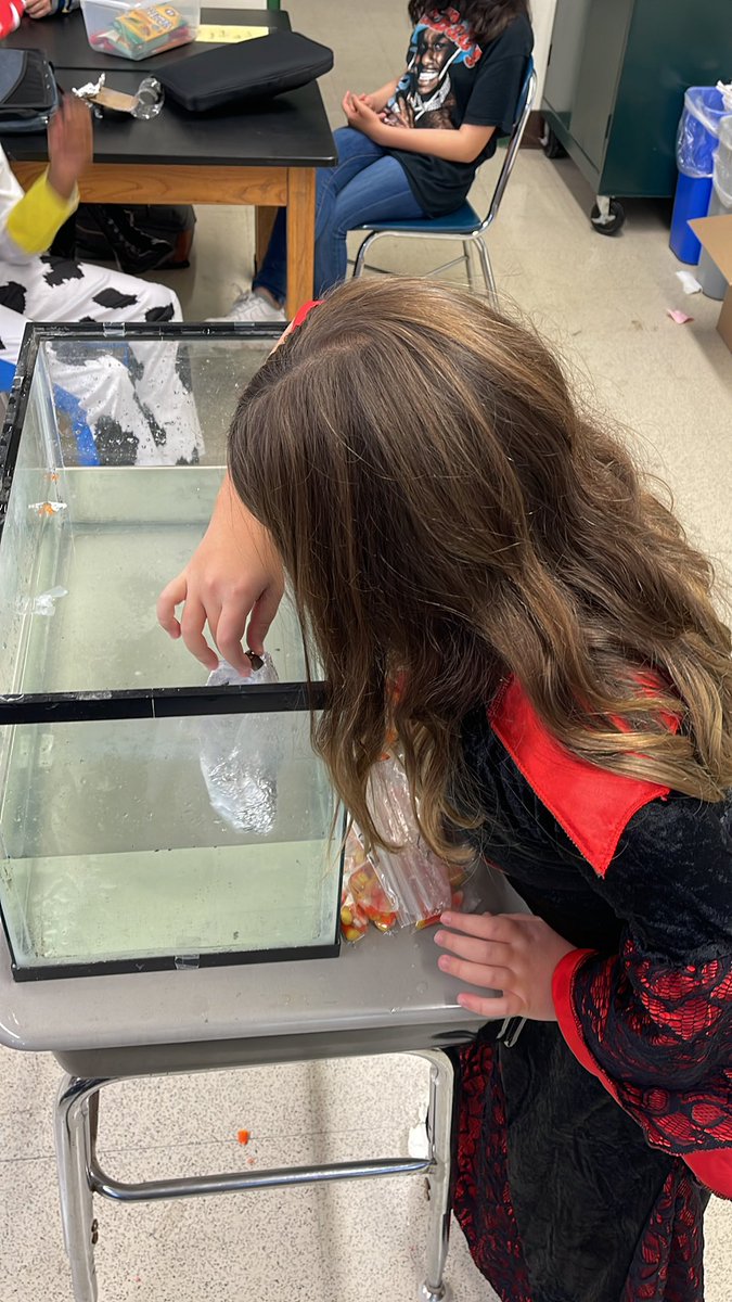 Boat testing is underway, some floaters… some sinkers!