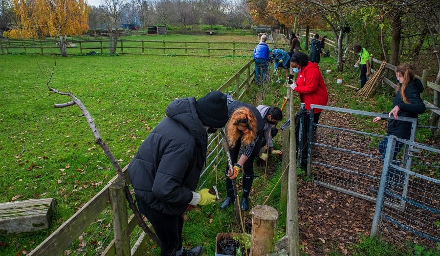 LdnMetArts's tweet photo. Here we grow again...Students and staff from #LdnMetArts @londonmetuni community to plant 420 trees as part of the annual event at @mudchute City Farm to promote sustainability and biodiversity. Event lead by academic Sian Moxon of @rewildmystreet 
 https://t.co/nRCckONA70 https://t.co/UCPeqwE7ur