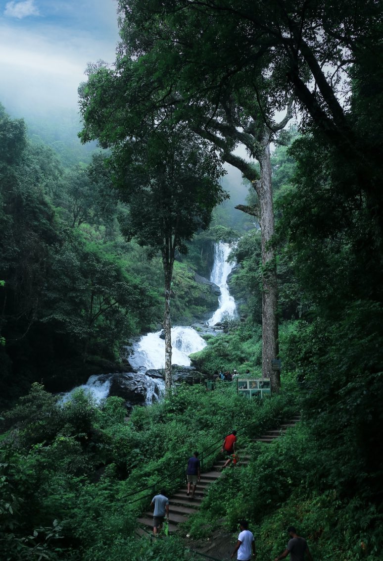 Angel5642620235's tweet photo. 💚💙💚
#naturebeauty 
#travelphotography 
#greeneryview 🌳💦 https://t.co/fQXwL0iIEz