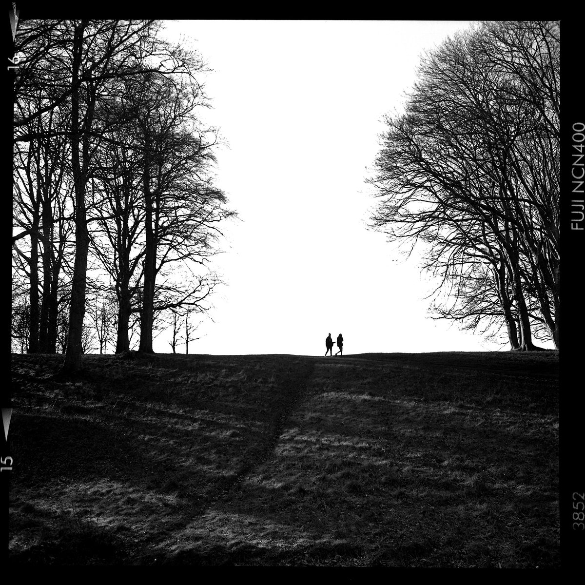 krunodebenc's tweet photo. Dublin 2018
Yashica Mat 124G
#fuji #neopan old stock in xtol 1:1
#nft #nftphotography https://t.co/AfYpVDQbYZ