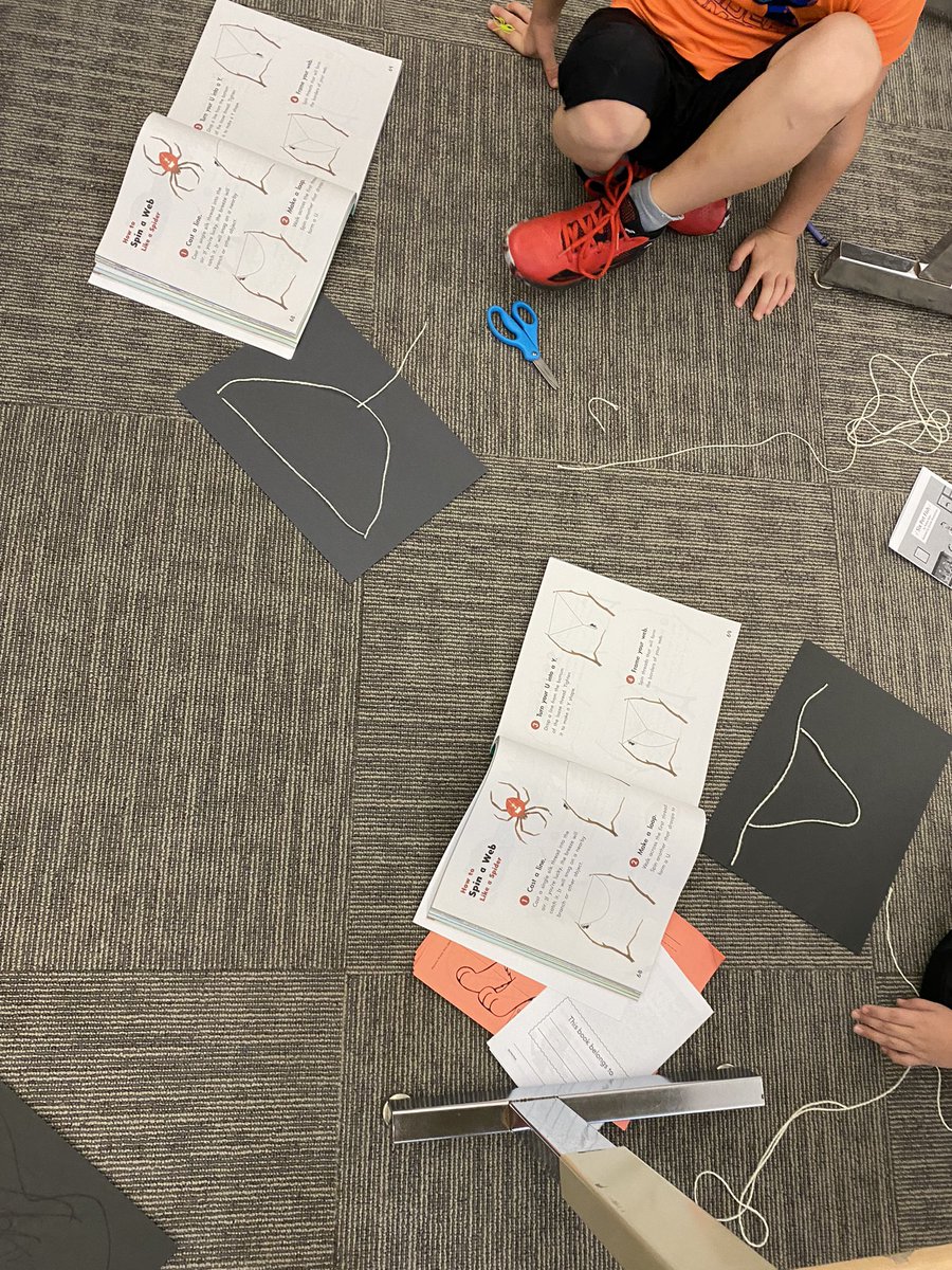 Creating spider webs today #plumlearns