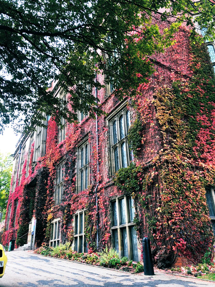 xhuliamucaj's tweet photo. Nature's first green is gold,
Her hardest hue to hold,
Her early leaf's a flower;
But only so an hour.
Then leaf subsides to leaf.
So Eden sank to grief,
So dawn goes down to day.
Nothing gold can stay. [R. Frost]
#Firthcourt #Autumn https://t.co/bE2qpvW2Db
