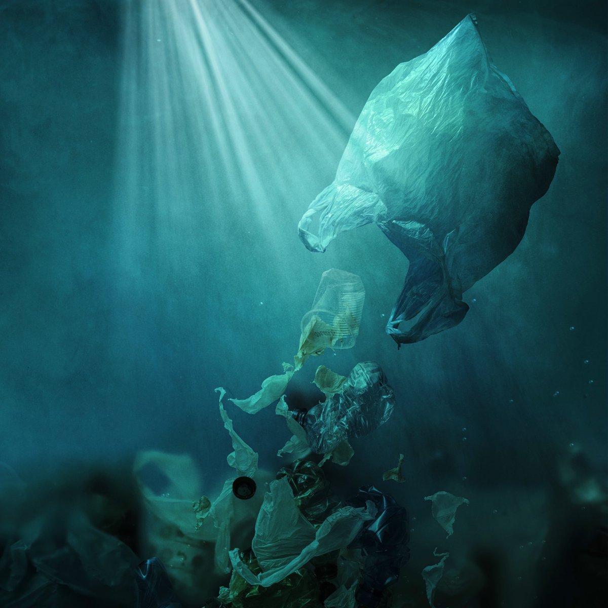 humidico's tweet photo. Probably the scariest thing you'll see this Halloween. Make the change to truly green packaging today and let’s end single-use plastic pollution. #Humidi #Howmuchistheearthworth #Biodegradable #EcoFriendly #Packaging #StopSingleUsePlastic #Endpollution #oceanfriendlypackaging https://t.co/inOMZJIeoI