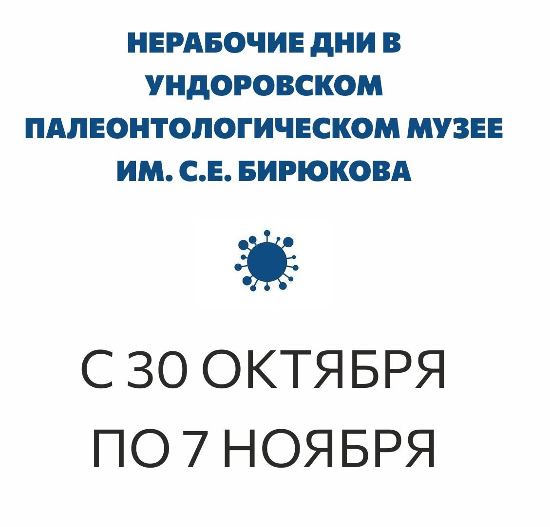 ❗В связи с Указом Президента Российской Федерации от 20.10.2021 №595 «Об установлении на территории Российской Федерации нерабочих дней в октябре-ноябре2021»