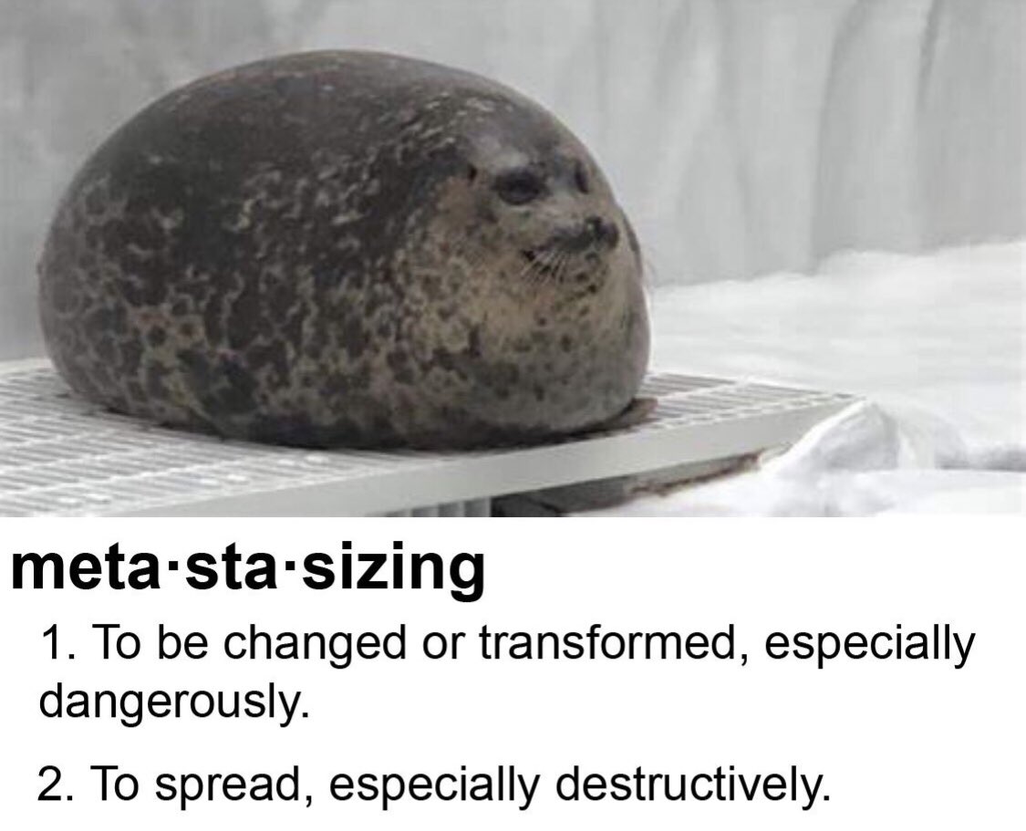 MetaChonk's tweet photo. Evolved https://t.co/GzLg2O3Rwo