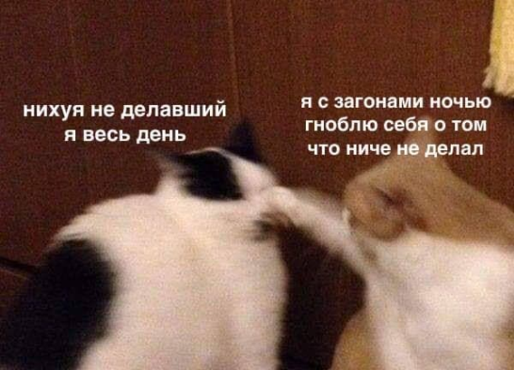 so_mad_so_funny's tweet photo. https://t.co/4TKGYCLaVV
