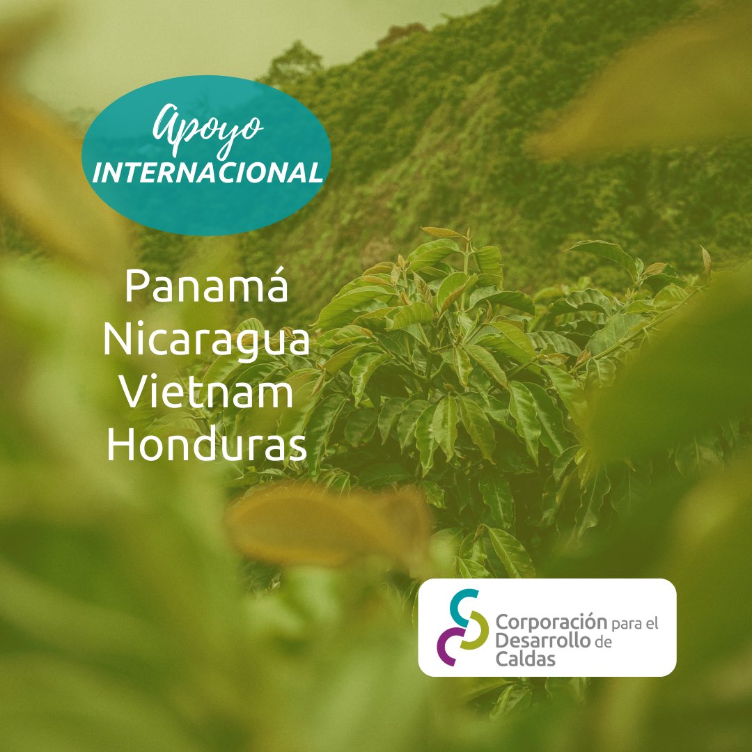 🌍 ¡Estamos llegando a muchos territorios! 💚 Tenemos proyectos en 9 departamentos de Colombia y en 4 países. 🌟 El sueño es impactar más lugares con nuestra experiencia. 👌🏽