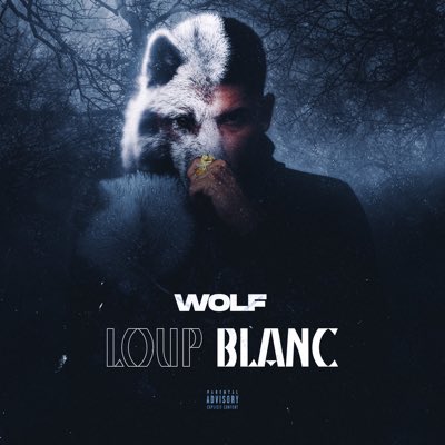 wolfy_flyy's tweet photo. #NouvellePhotoDeProfil #LoupBlanc #Live20h https://t.co/41E1OQ9pAA