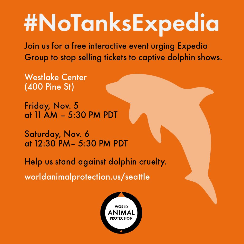 MoveTheWorldUS's tweet photo. We're taking a stand against dolphin cruelty. Join us in Seattle on November 5th and 6th to tell @ExpediaGroup what we think of them continuing to sell tickets to dolphin shows. See you there! #NoTanksExpedia https://t.co/Fnd25SSYhN https://t.co/AnQkOFlqbX