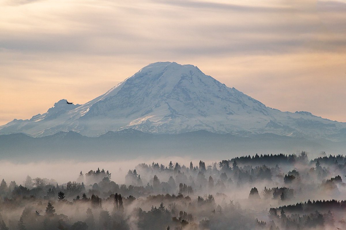 DeneMiles's tweet photo. I never tire of those Mount Rainier views 🏔 https://t.co/HvmzKw9tsp