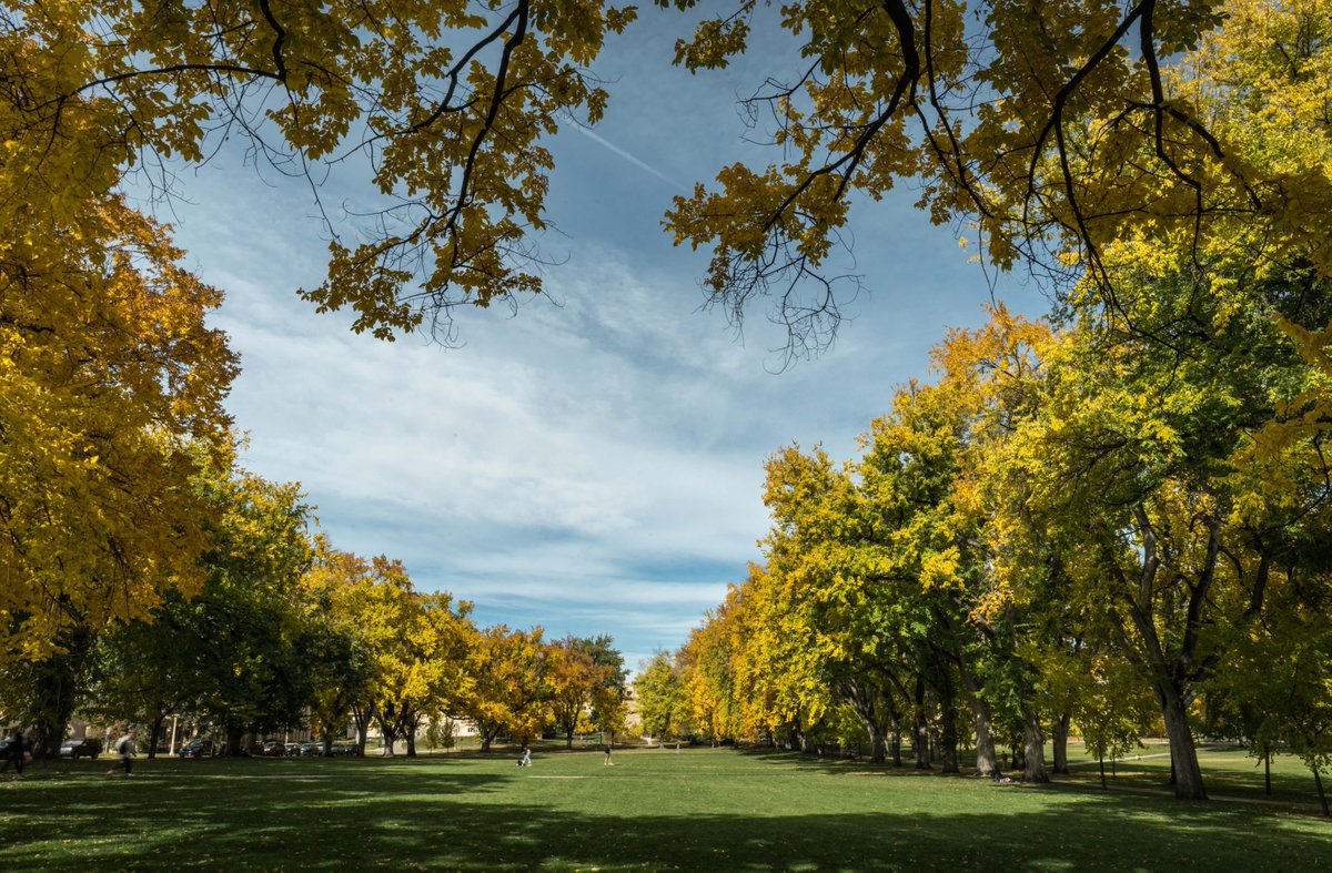 ColoradoStateU's tweet image. BOO-tiful Oval views 👻
Have a spooky and safe Halloweekend, Rams 🎃
