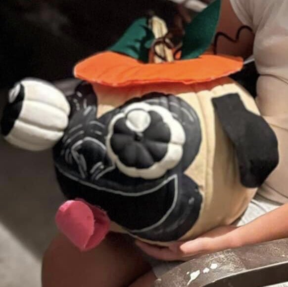 Rapunzl347's tweet photo. My friend’s daughter made the most adorable #Pugkin for Halloween. LOVE IT! https://t.co/cATBISYNNH