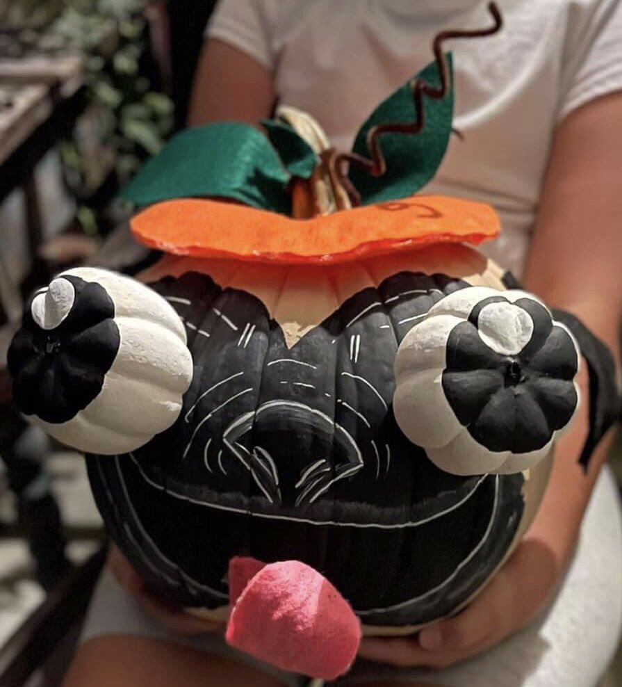 Rapunzl347's tweet photo. My friend’s daughter made the most adorable #Pugkin for Halloween. LOVE IT! https://t.co/cATBISYNNH