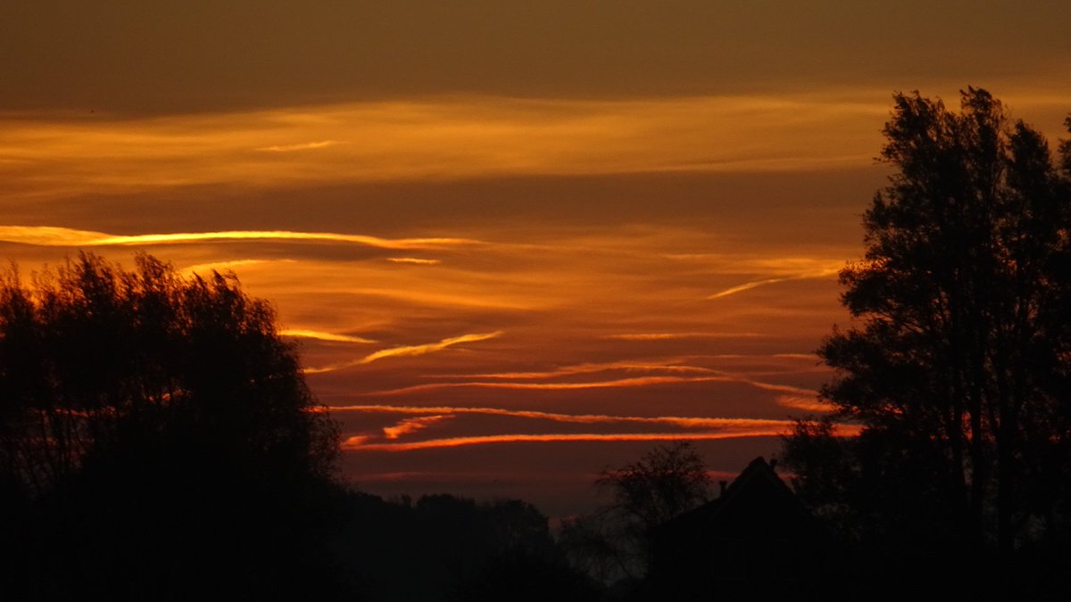 Pietsje Hannema Greidanus tweet media