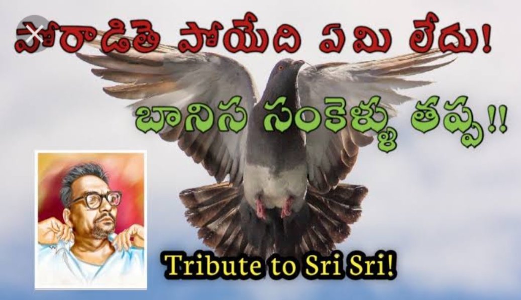 GADDEKITTU's tweet photo. ప్రతి పసుపు సైనికుడు చెప్పవలసిన నినాదం ఒక్కటే
వీళ్ళు "మళ్ళీ వస్తే బ్రతకలేము - బ్రతకనివ్వరు "
ఇదే ప్రజల లోకి వెళ్ళాలి
#telugudesamparty
#ITDP
#CBNARMY
#Narachandrababunaidu
#tarak9999
#Naralokesh
#GaddeRamohan
#TDPTwitter
#kinjarapufamily
#Jaygalla
#Kesineninani https://t.co/8lRglILjlN