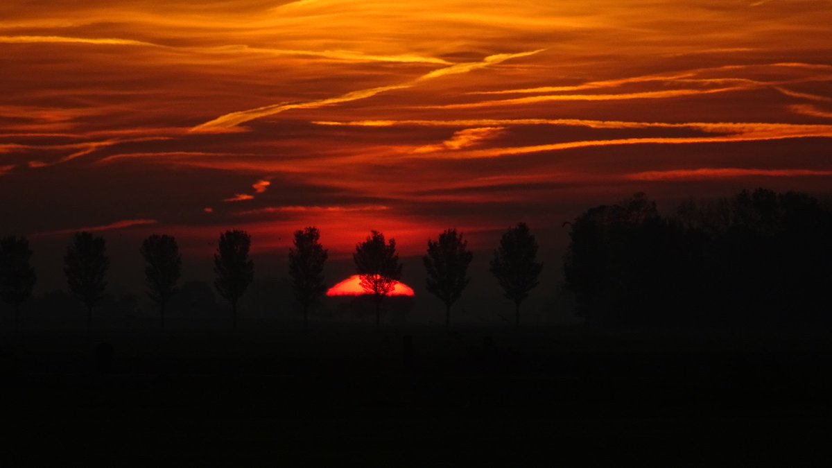 Pietsje Hannema Greidanus tweet media