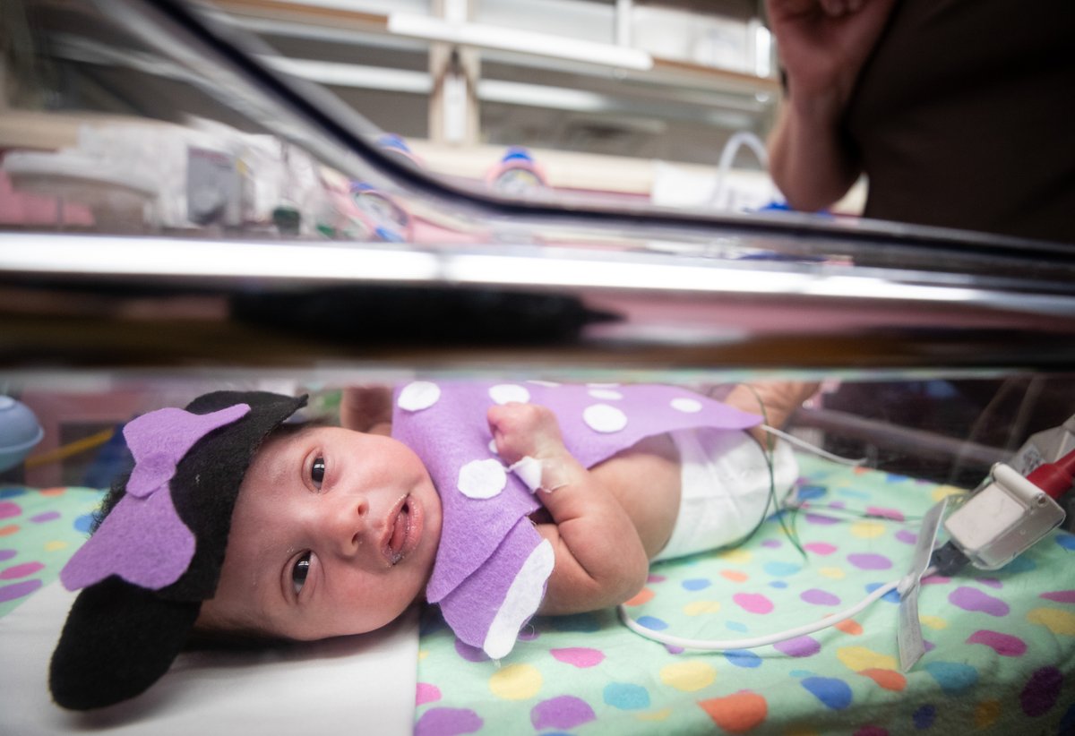 JPS_Health's tweet photo. They’re not old enough to trick-or-treat, but they already have Halloween spirit, and a special memory for their parents. Nurses in the Neonatal ICU (NICU) at John Peter Smith Hospital arranged to dress up the newborns for their first Halloween. #TGINurses https://t.co/Vu3T0wvkSL