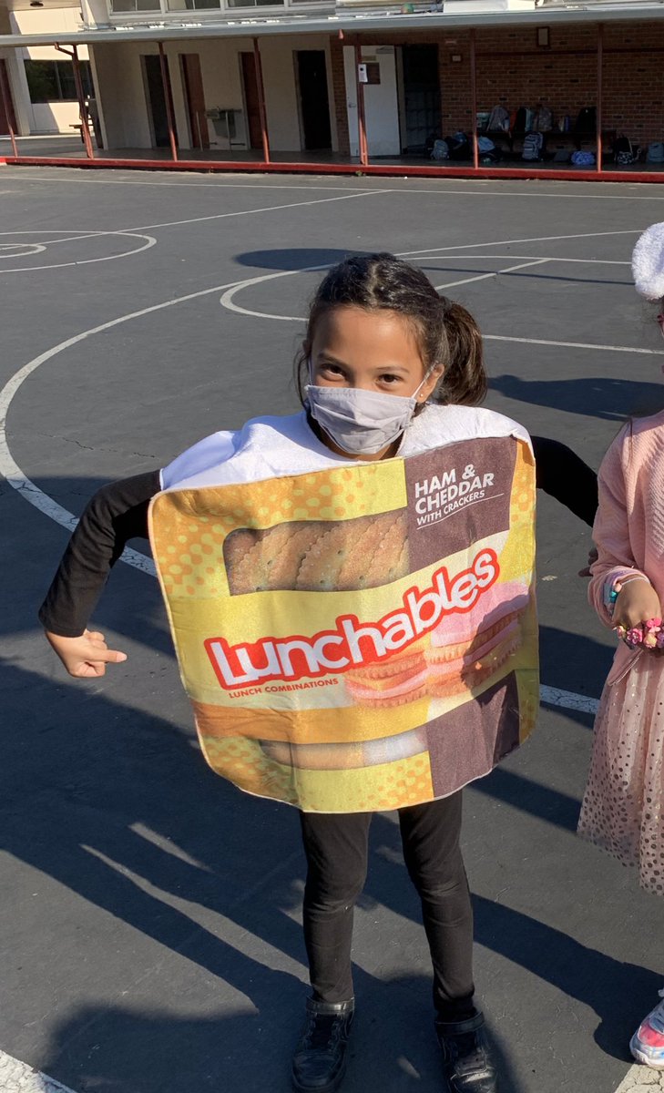 Lunchables Costume for Adults